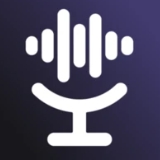 Voice.ai